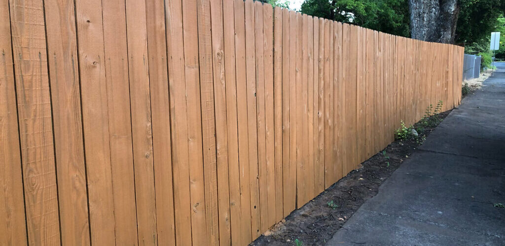Cedar fence after being stained