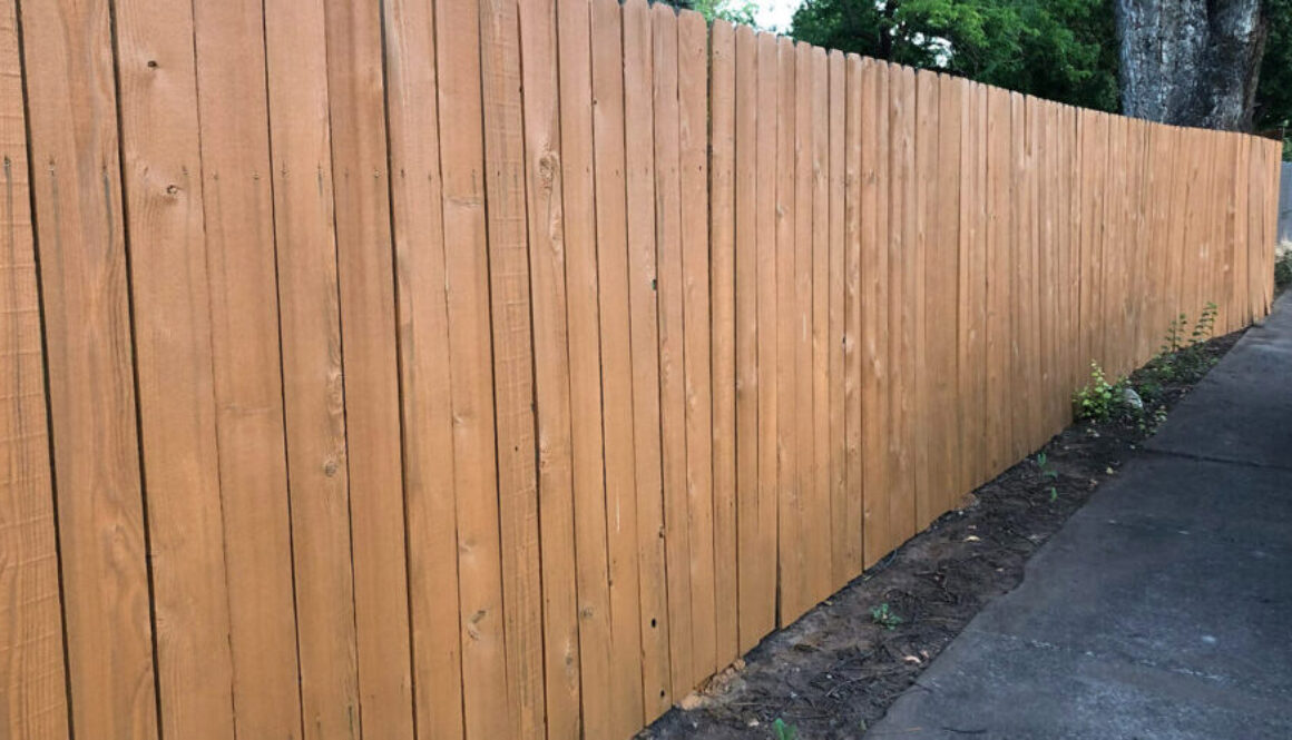 Cedar fence after being stained