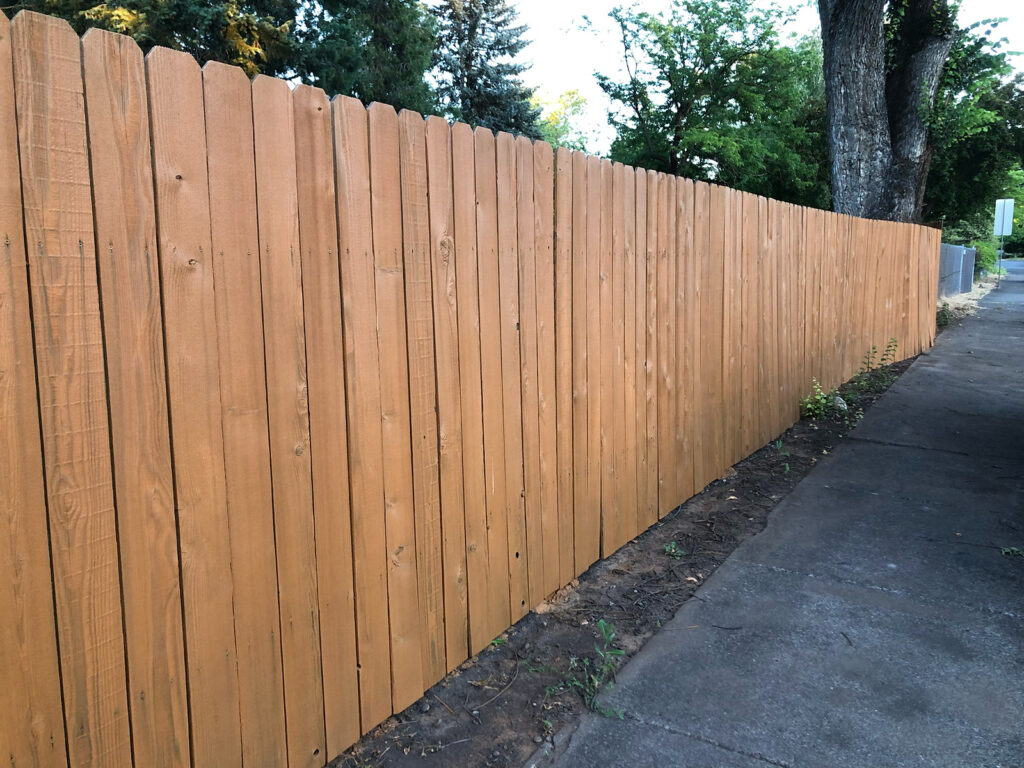 Cedar fence after being stained